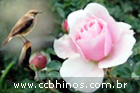 Hino 180 CCB Se muitos soubessem... Cantado Lindo!!