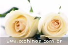 Hino Novo CCB 360 ( Rosa de Saron ) Cantor Irllands Camargo.wmv