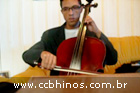 Hino ccb 266 cello
